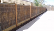 Brush Fencing 9