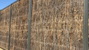 Brush Fencing 15