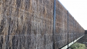 Brush Fencing 20
