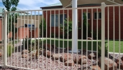 Tubular Fencing 73