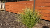 Woodgrain Slats 8